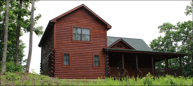 Professional Log Home Borate Application  Davie County,  North Carolina